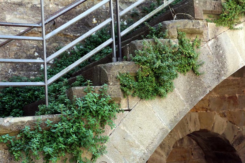 Carcassone0594.jpg