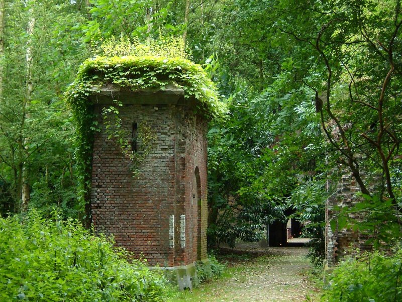 Construct-green.jpg