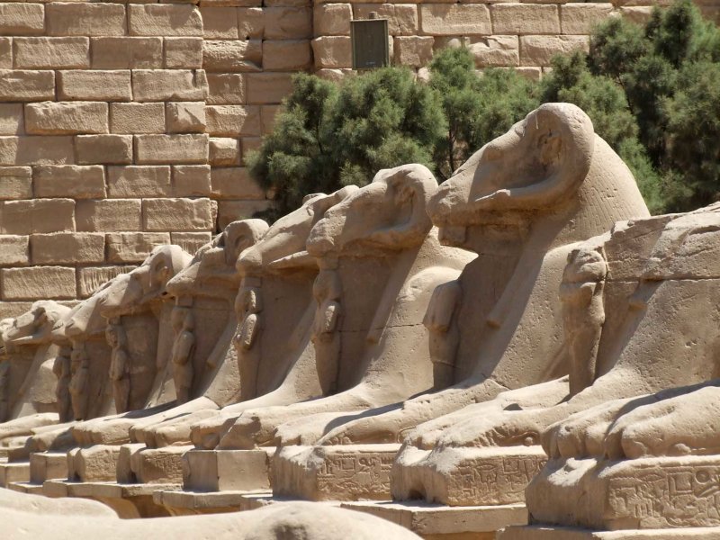 Egypt0491.jpg