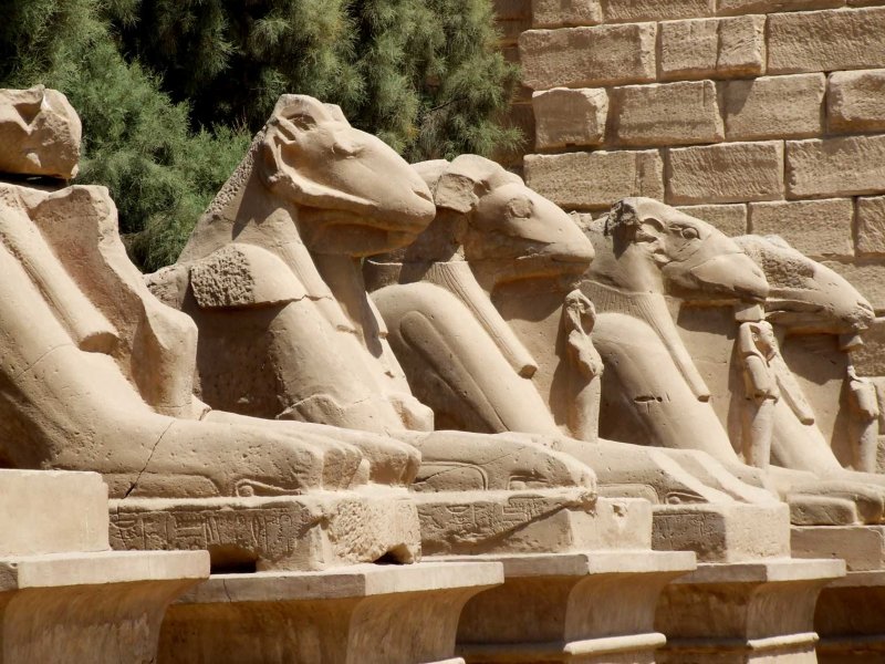 Egypt0506.jpg