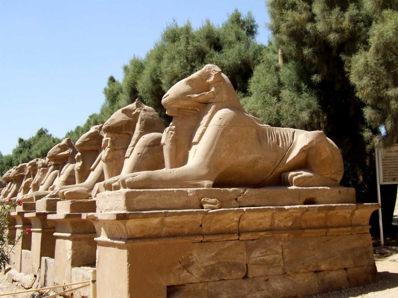 Egypt0516.jpg