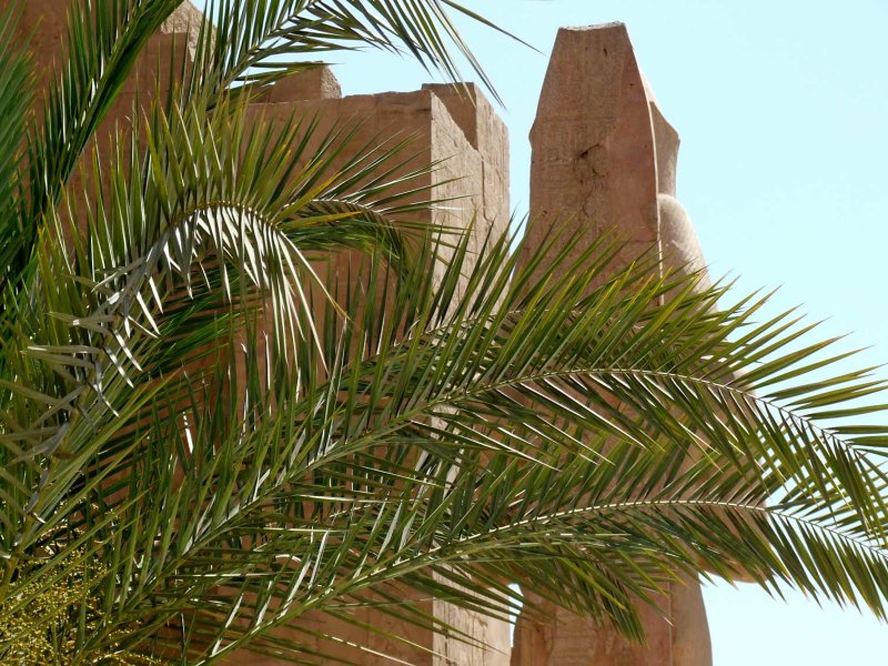 Egypt0550.jpg