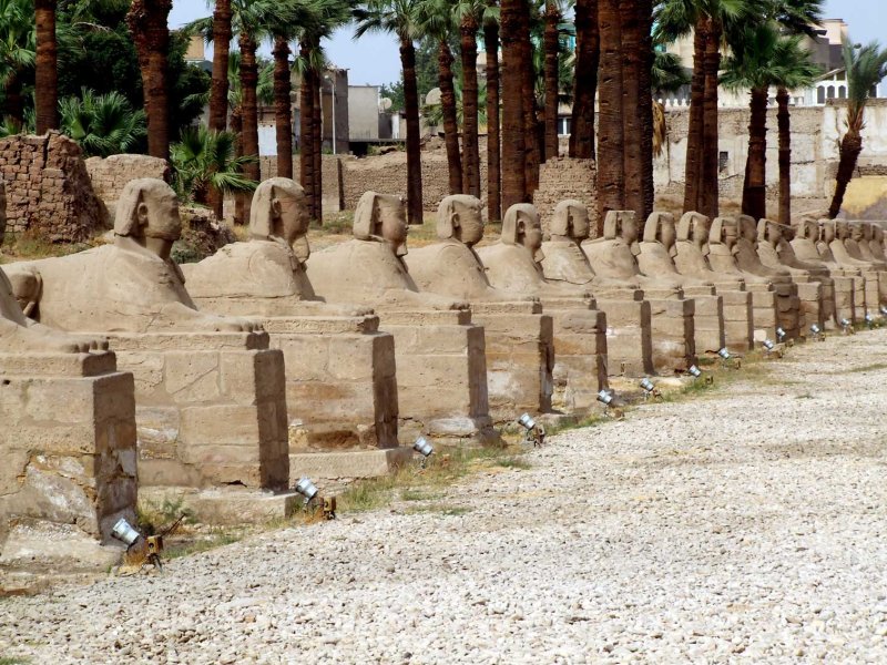 Egypt1464.jpg