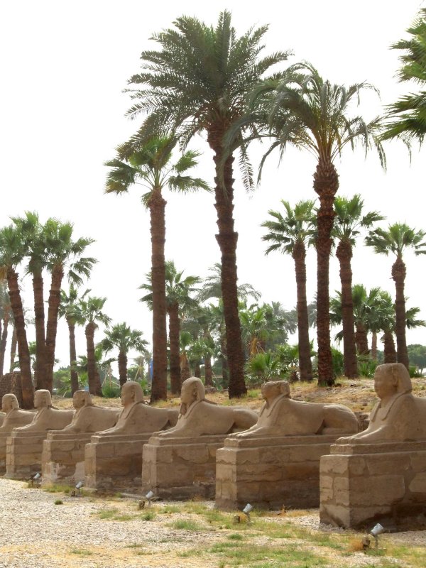 Egypt1481.jpg