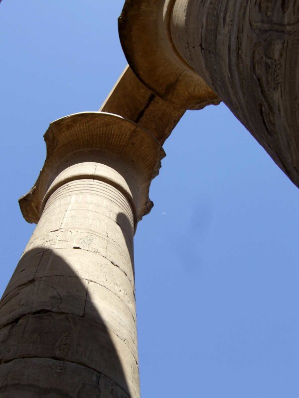 Egypx1346.jpg