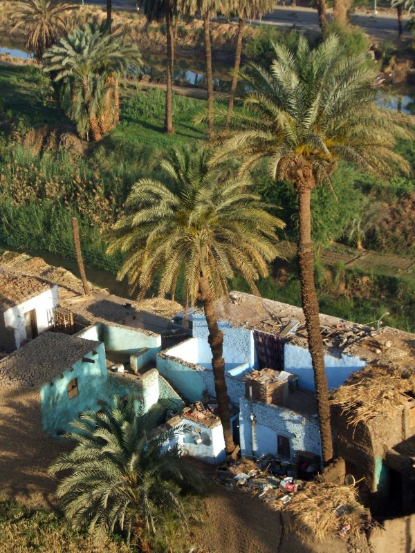 Egypx1893.jpg
