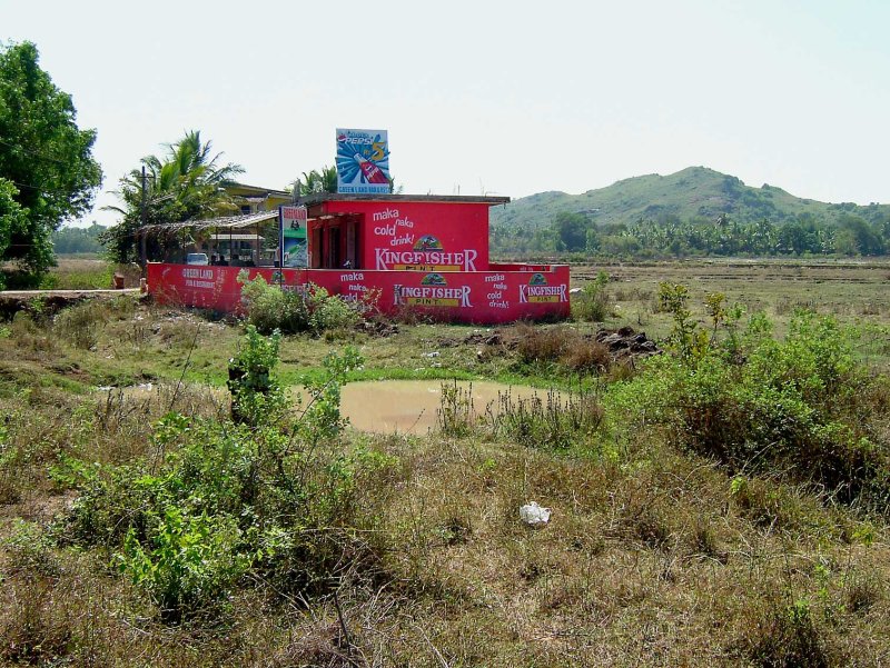 india-7511.jpg
