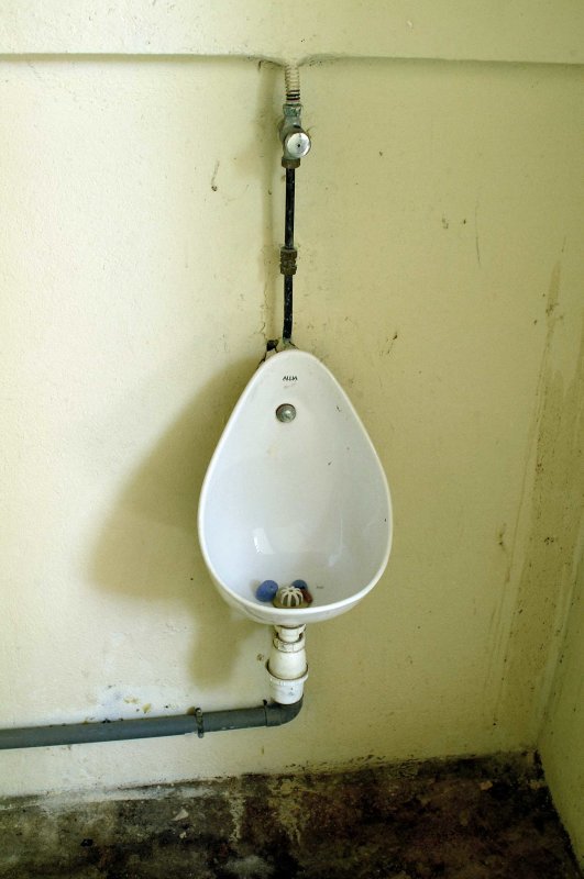 Pissijn447.jpg