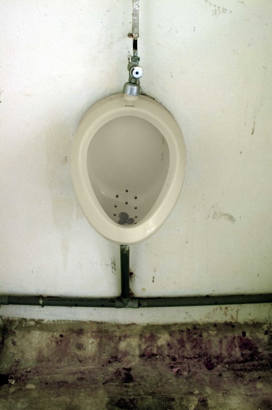 Pissijn541.jpg