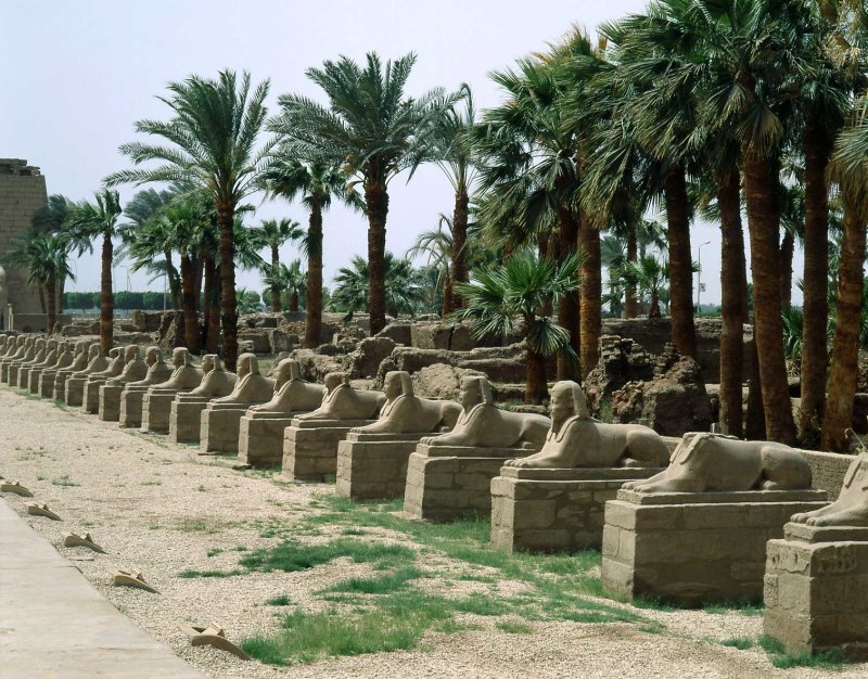 Sfinxengalerij-luxor.jpg