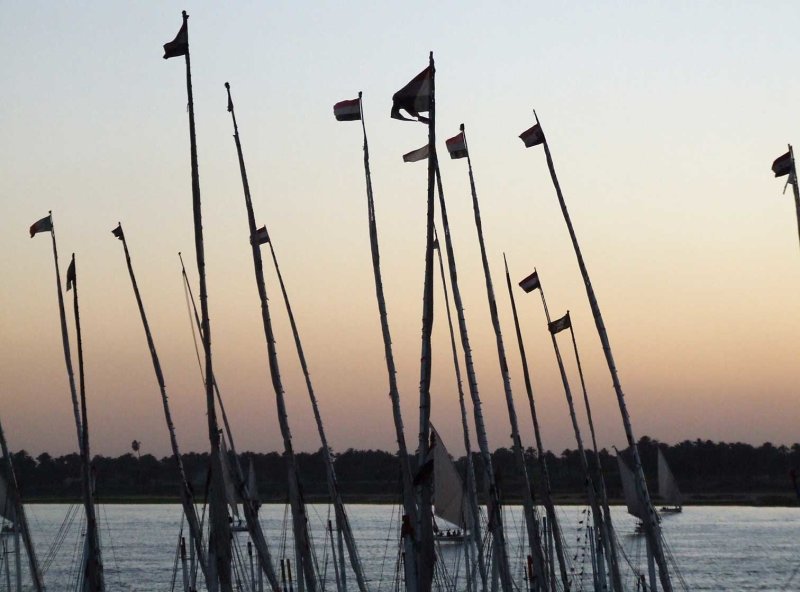 Egypt0973.jpg