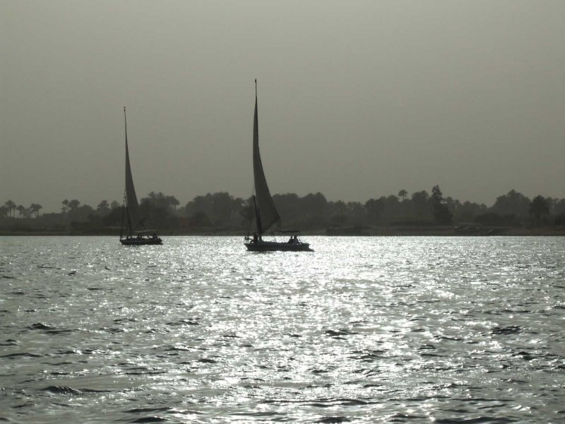 Egypt1547.jpg