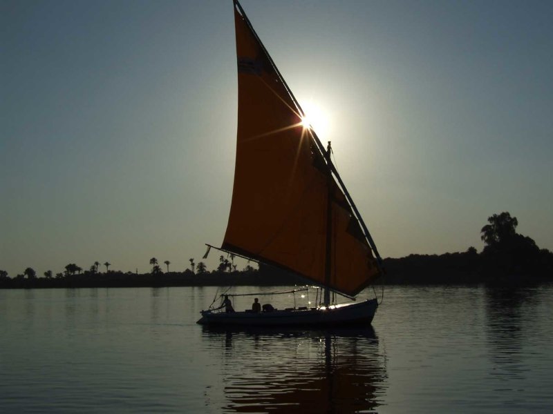 Egypx0935.jpg