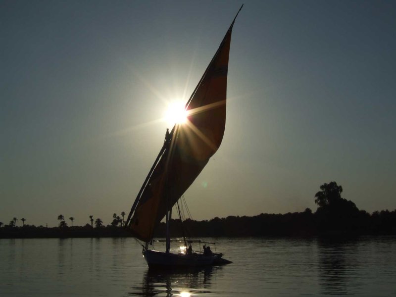 Egypx0938.jpg