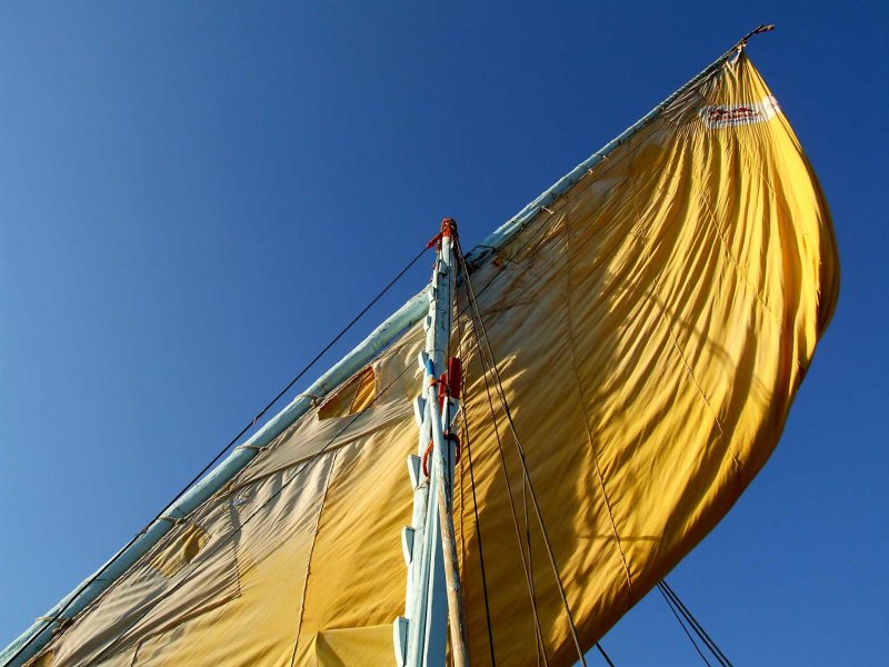 Egypx0944.jpg