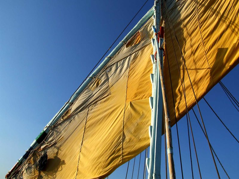 Egypx0945.jpg