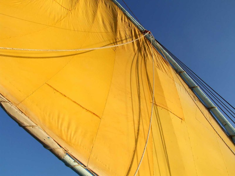 Egypx0956.jpg