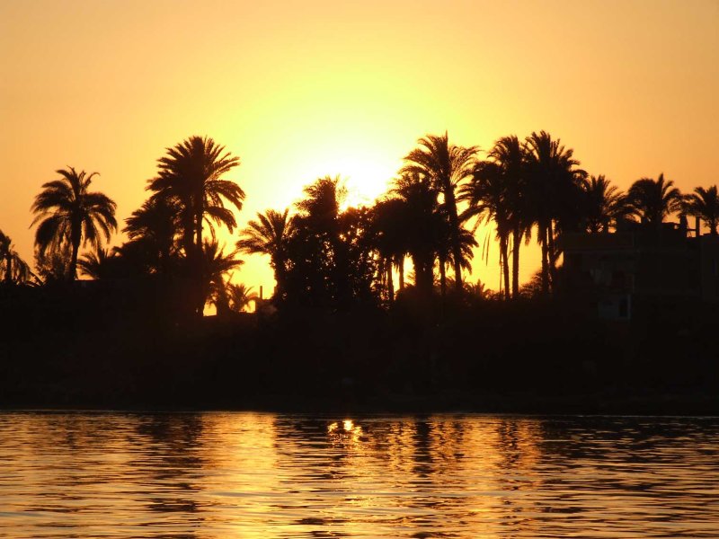 Egypx1029.jpg
