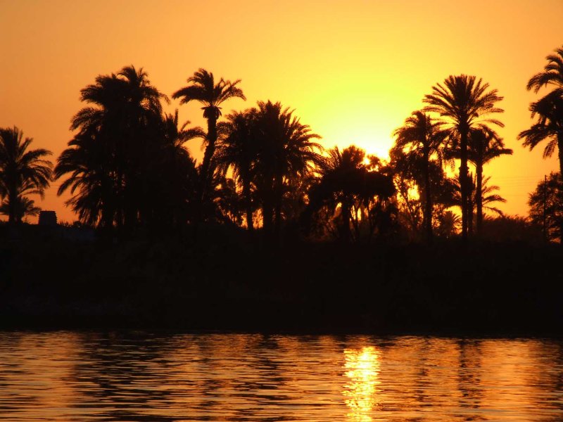 Egypx1049.jpg