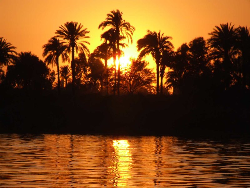 Egypx1052.jpg