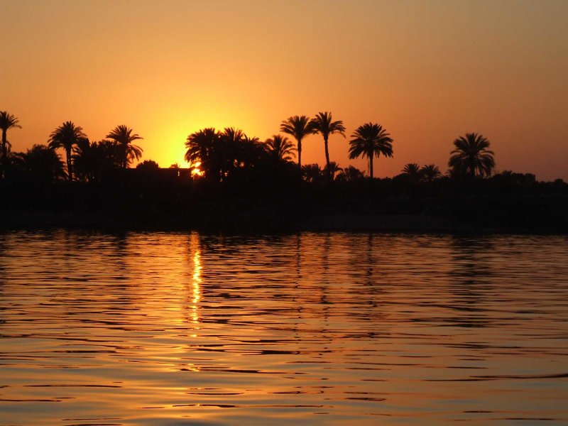Egypx1059.jpg