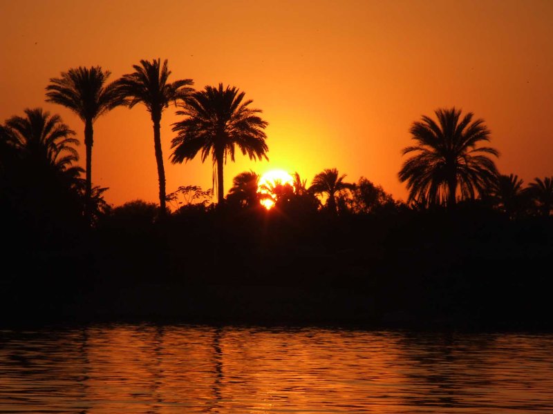 Egypx1064.jpg
