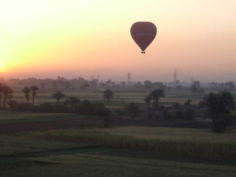 Egypx1422.jpg