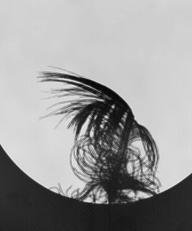 Holografisch-effekt.jpg
