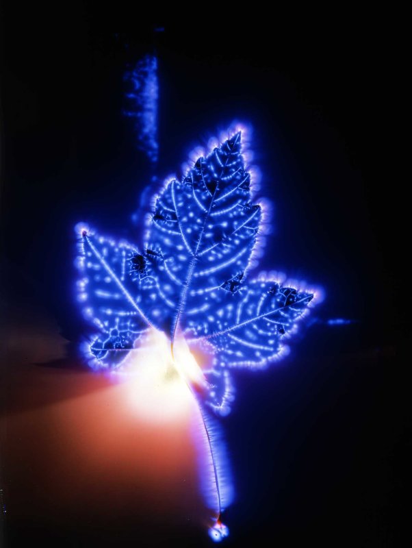 Kirlian001.jpg