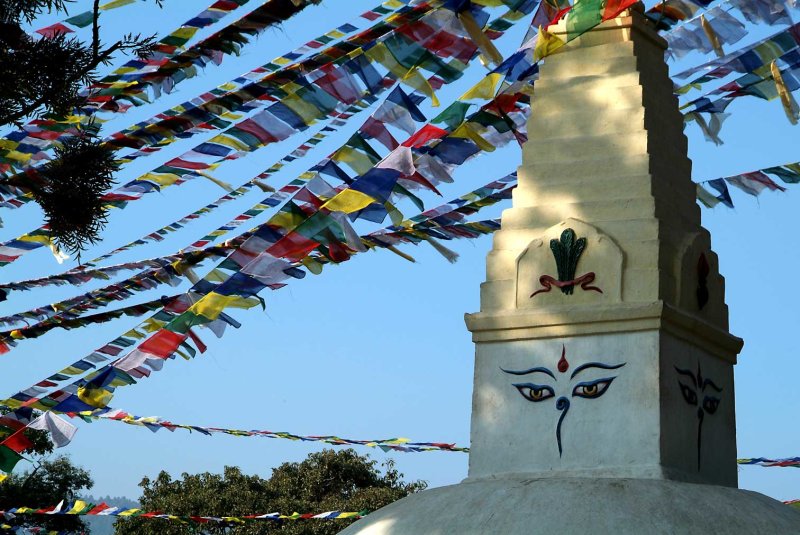 Nepal1295.jpg