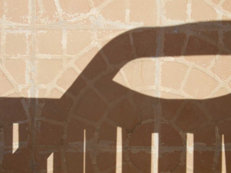 Shadow3149.jpg