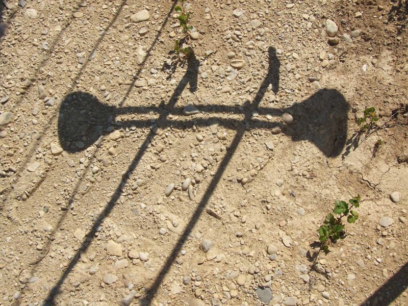 Shadow3163.jpg