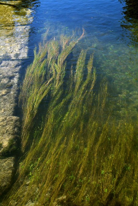 Water3863.jpg