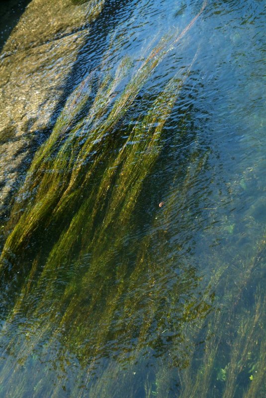 Water3873.jpg