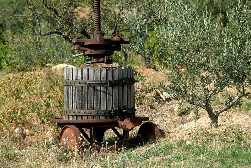 Winepress7920.jpg