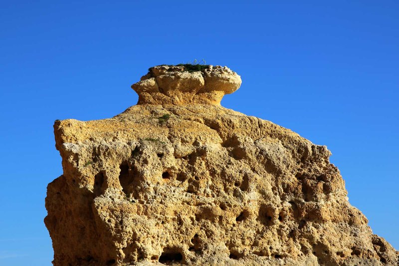 Algarve2733.jpg