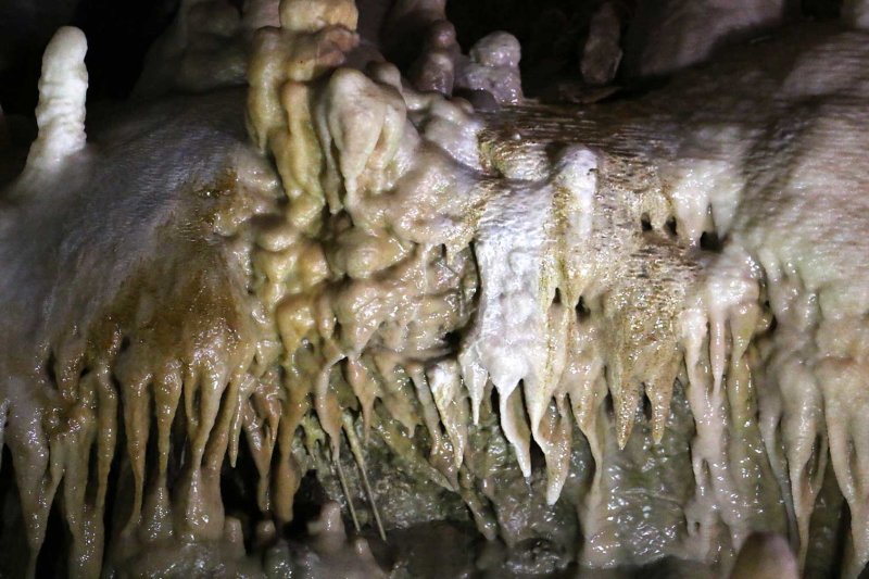 Canalettes0677.jpg