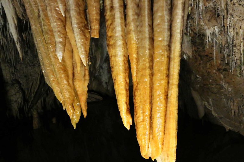 Canalettes0761.jpg