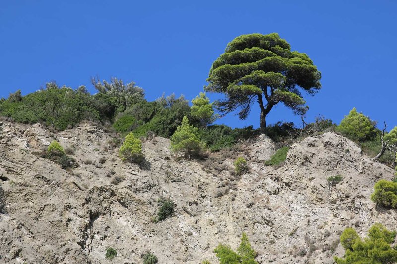 Corfu_2769.jpg