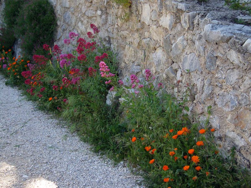 France00121.jpg