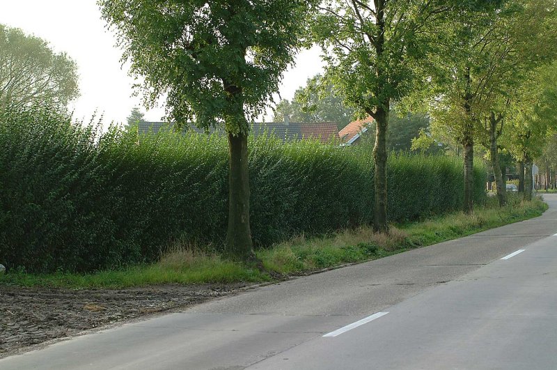 Haag-weg.jpg
