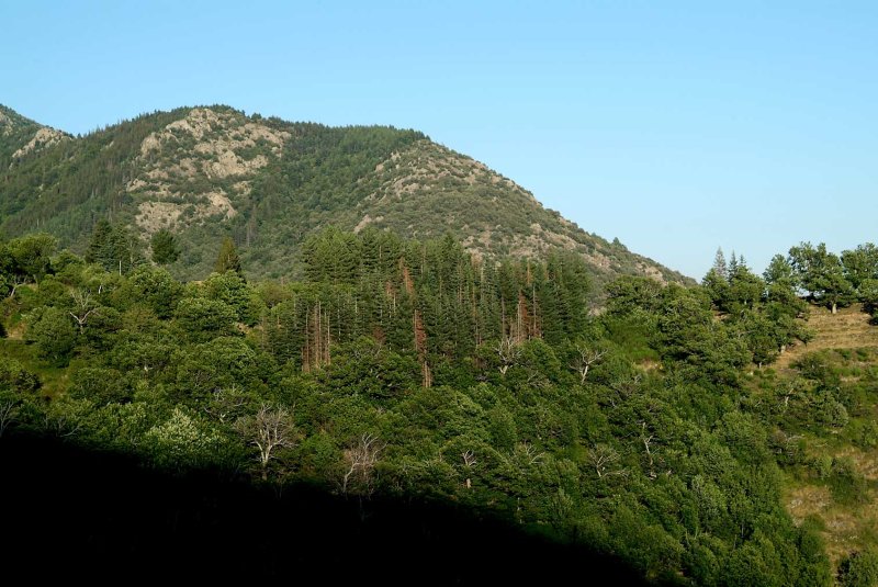 Mountain6294.jpg