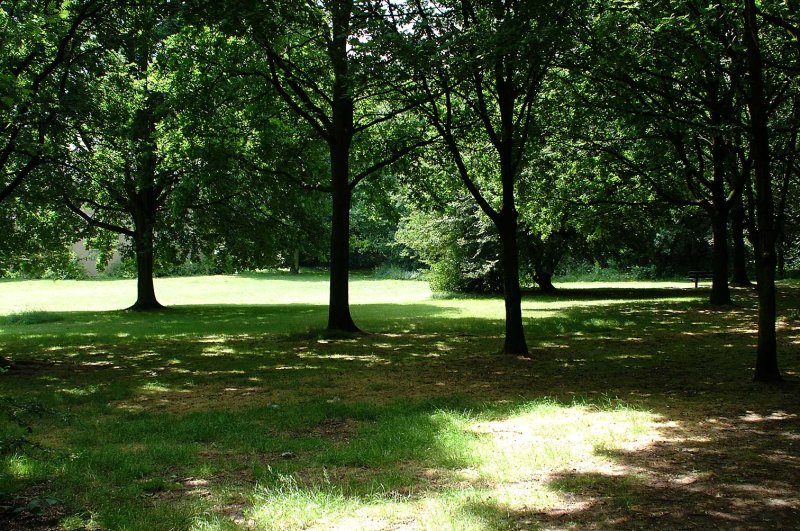 Park2.jpg