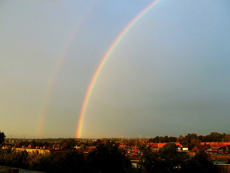Rainbow-0455.jpg