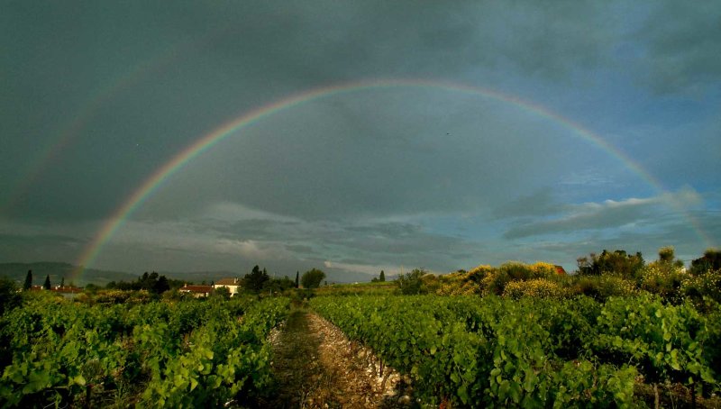 Rainbow0530.jpg