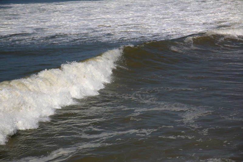 Sea9268.jpg