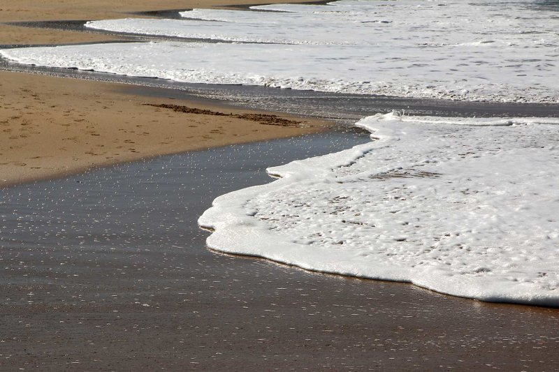 Sea9305.jpg