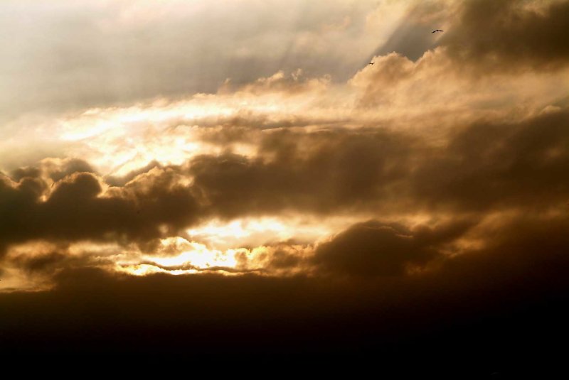 The-light06.jpg