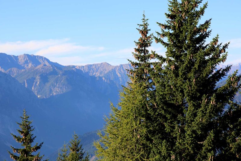Tirol1300.jpg