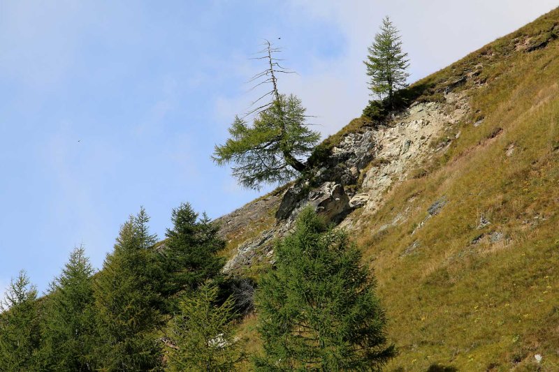 Tirol1325.jpg